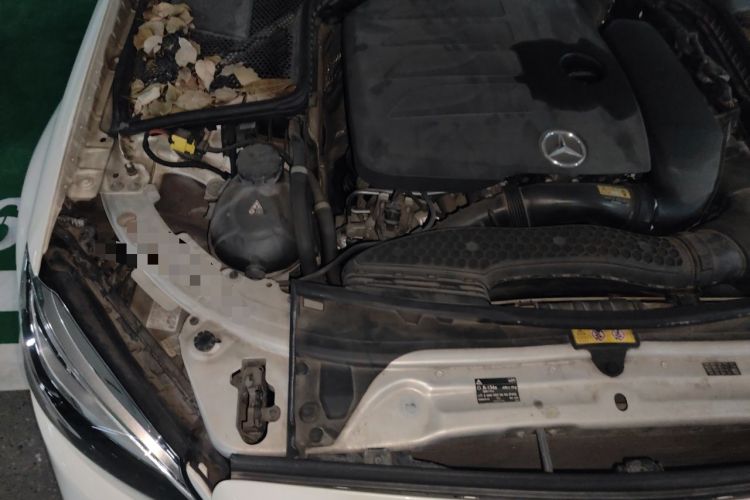 Used Mercedes-Benz C-Class 2020 C 260 L Sport Edition Engine Bay Right