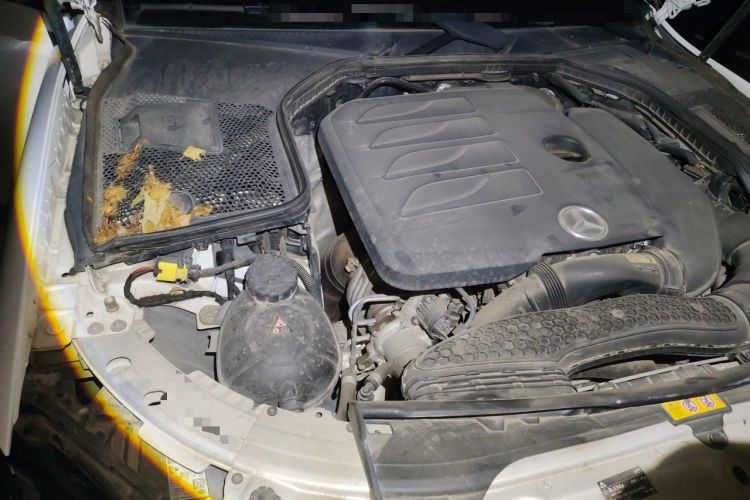 Used Mercedes-Benz C-Class 2020 Restyled C 200 L Fashion Edition Sport Version Engine Bay Right