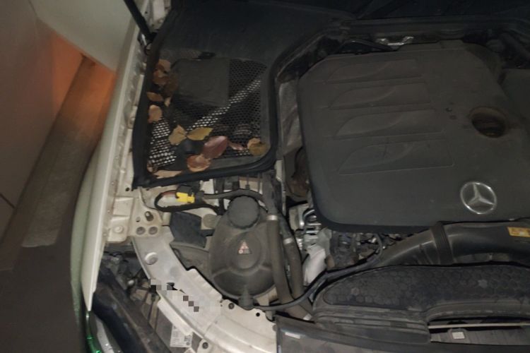 Used Mercedes-Benz C-Class 2020 C 260 L Sport Edition Engine Bay Right