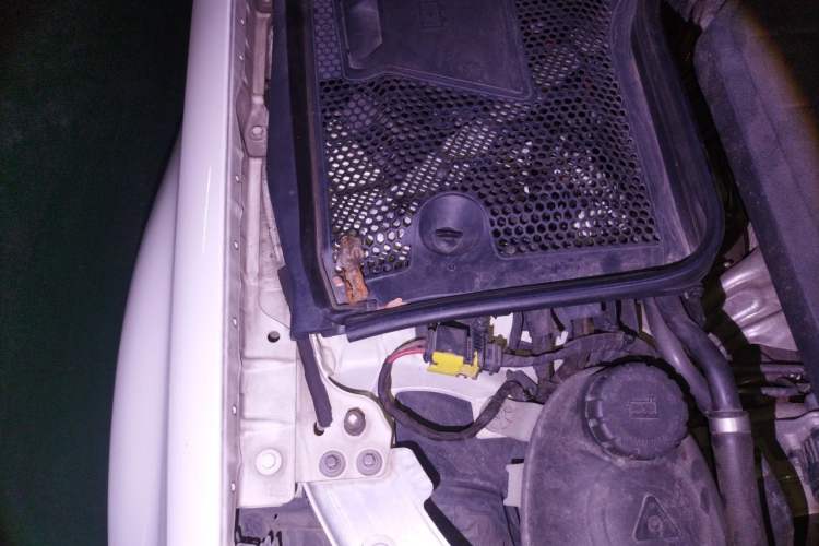 Used Mercedes-Benz C-Class 2020 C 260 L Sport Edition Engine Bay Right