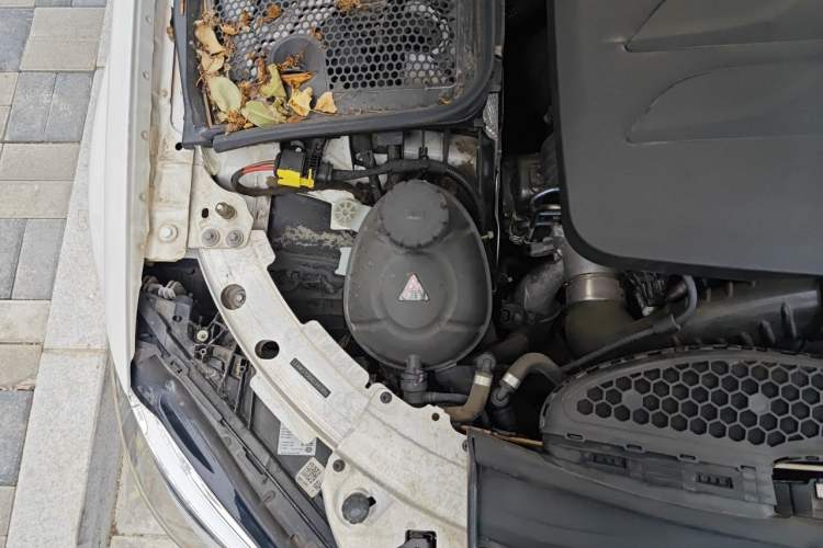 Used Mercedes-Benz C-Class 2020 C 200 L Fashion Edition Sport Version Engine Bay Right