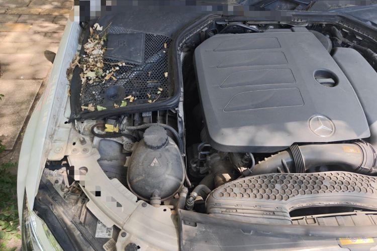 Used Mercedes-Benz C-Class 2020 C 200 L Fashion Edition Sport Version Engine Bay Right