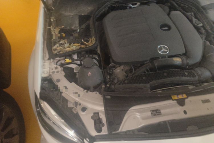 Used Mercedes-Benz C-Class 2020 C 200 L Fashion Edition Sport Version Engine Bay Right