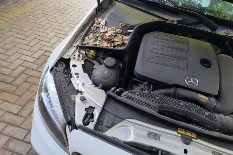 Used Mercedes-Benz C-Class 2020 Restyled C 200 L Dynamic Sports Edition Engine Bay Right