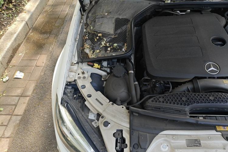 Used Mercedes-Benz C-Class 2020 Restyled C 260 L Sport Edition Engine Bay Right