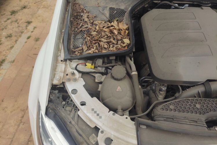 Used Mercedes-Benz C-Class 2020 Restyled C 260 Sport Edition Engine Bay Right