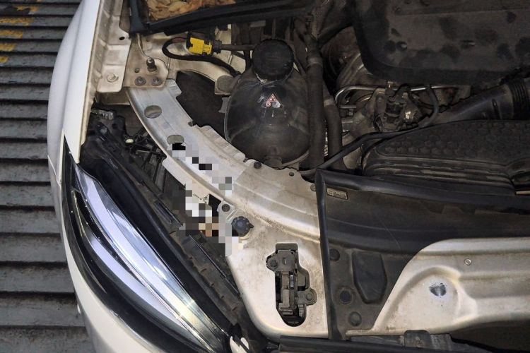 Used Mercedes-Benz C-Class 2020 C 260 Coupe Engine Bay Right