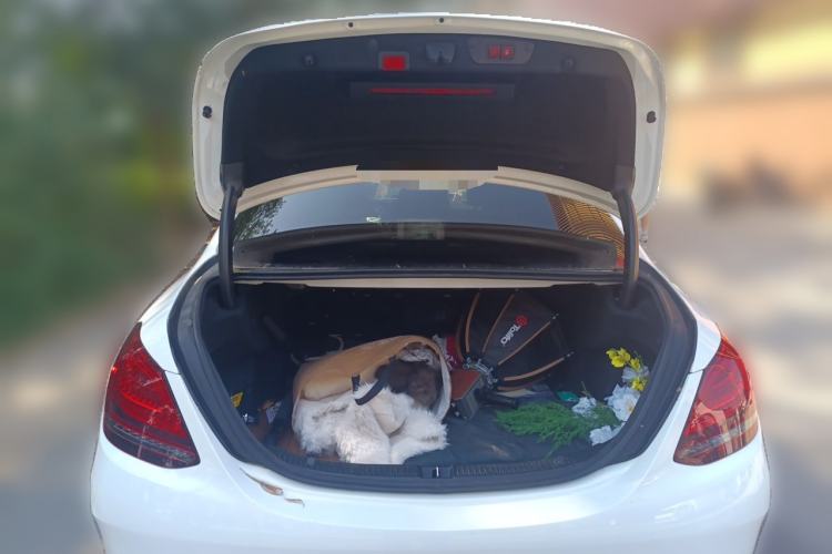 Used Mercedes-Benz C-Class 2020 C 200 L Fashion Edition Sport Version Trunk