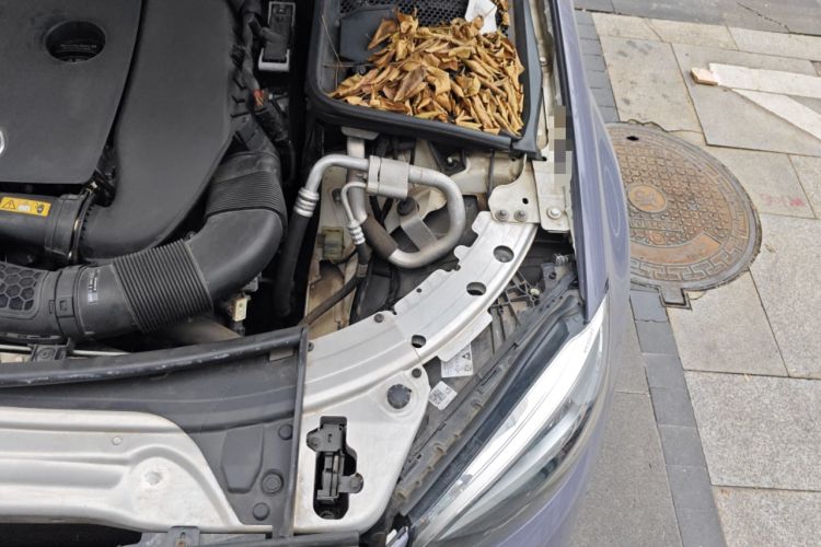 Used Mercedes-Benz C-Class 2021 C 200 Coupe Engine Bay Left