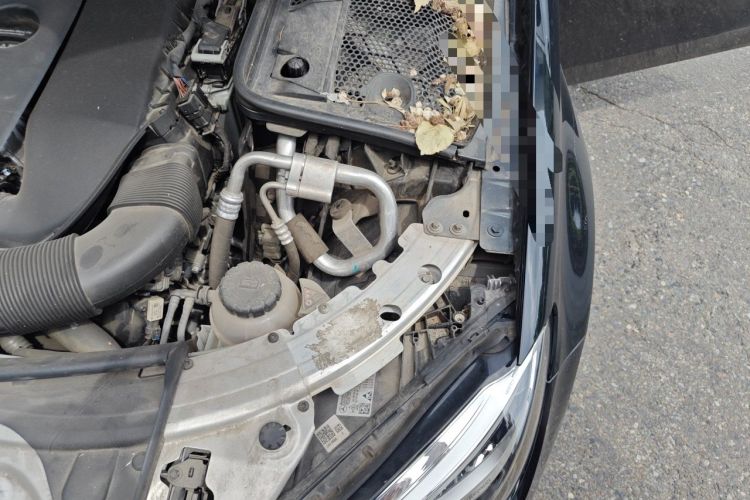 Used Mercedes-Benz C-Class 2021 C 260 L Sport Edition Star Collection Engine Bay Left