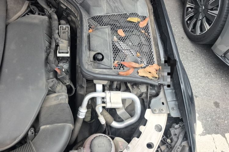 Used Mercedes-Benz C-Class 2021 C 260 L Sport Edition Engine Bay Left