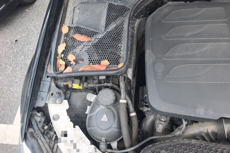 Used Mercedes-Benz C-Class 2021 C 260 L Sport Edition Engine Bay Right