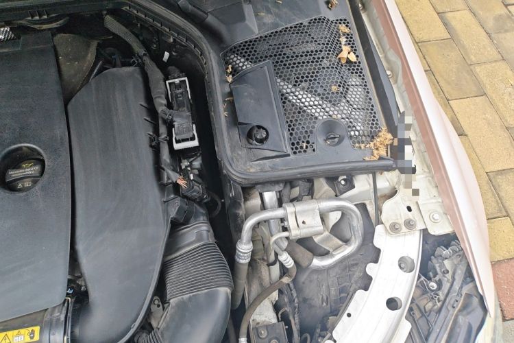 Used Mercedes-Benz C-Class 2021 C 200 L Fashion Edition Sport Version Engine Bay Left