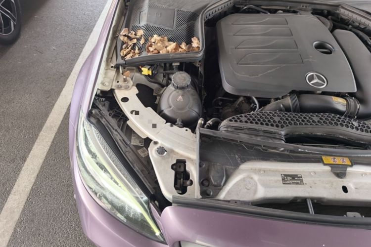 Used Mercedes-Benz C-Class 2021 C 200 L Fashion Edition Sport Version Engine Bay Right