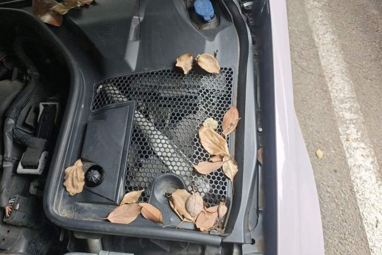Used Mercedes-Benz C-Class 2021 C 260 Coupe Engine Bay Left