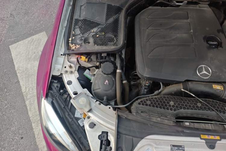 Used Mercedes-Benz C-Class 2021 C 260 L Sport Edition Engine Bay Right
