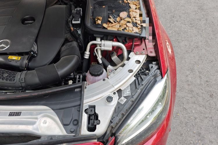 Used Mercedes-Benz C-Class 2021 C 260 L Sport Edition Star Collection Engine Bay Left