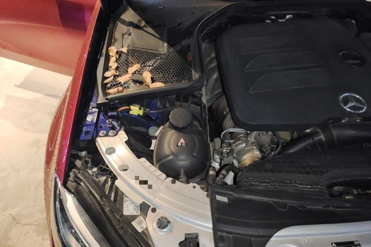 Used Mercedes-Benz C-Class 2021 C 200 L Fashion Edition Sport Version Engine Bay Right