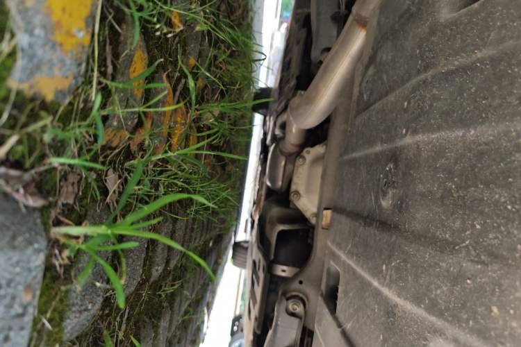 Used Mercedes-Benz C-Class 2021 C 260 L Sport Edition Chassis Rear