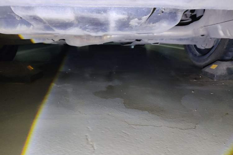 Used Mercedes-Benz C-Class 2021 C 260 Star Edition Chassis Rear