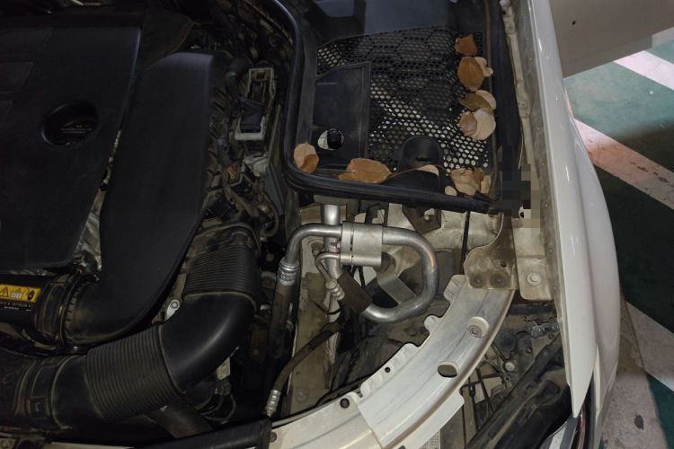 Used Mercedes-Benz C-Class 2021 C 200 L Fashion Edition Sport Version Engine Bay Left