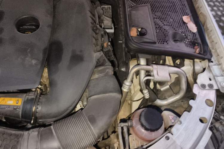 Used Mercedes-Benz C-Class 2021 C 260 L Sport Edition Engine Bay Left