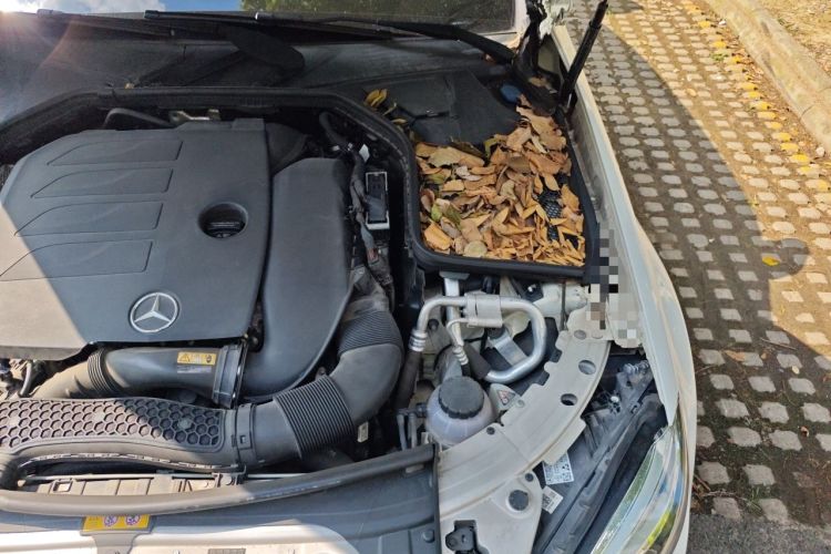 Used Mercedes-Benz C-Class 2021 C 260 L Sport Edition Engine Bay Left
