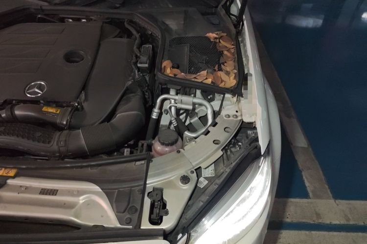 Used Mercedes-Benz C-Class 2021 C 260 L Sport Edition Star Collection Engine Bay Left