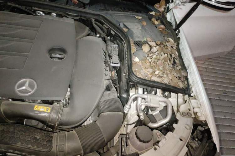 Used Mercedes-Benz C-Class 2021 C 260 L Sport Edition Engine Bay Left