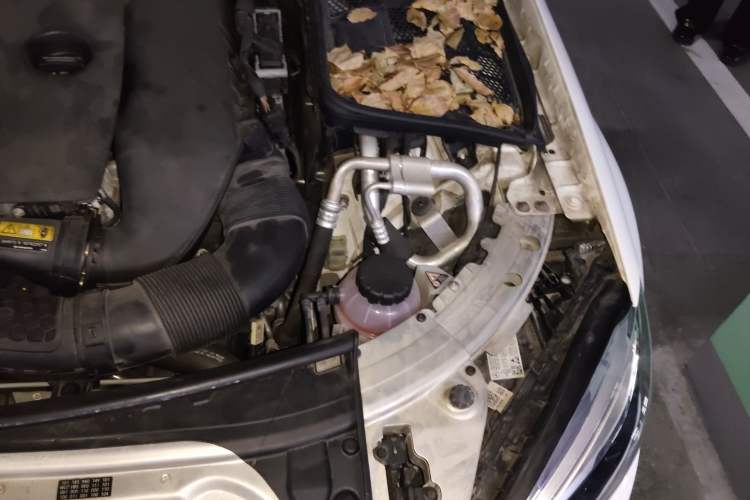 Used Mercedes-Benz C-Class 2021 C 260 L Sport Edition Star Collection Engine Bay Left