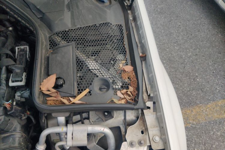 Used Mercedes-Benz C-Class 2021 C 260 Coupe Engine Bay Left