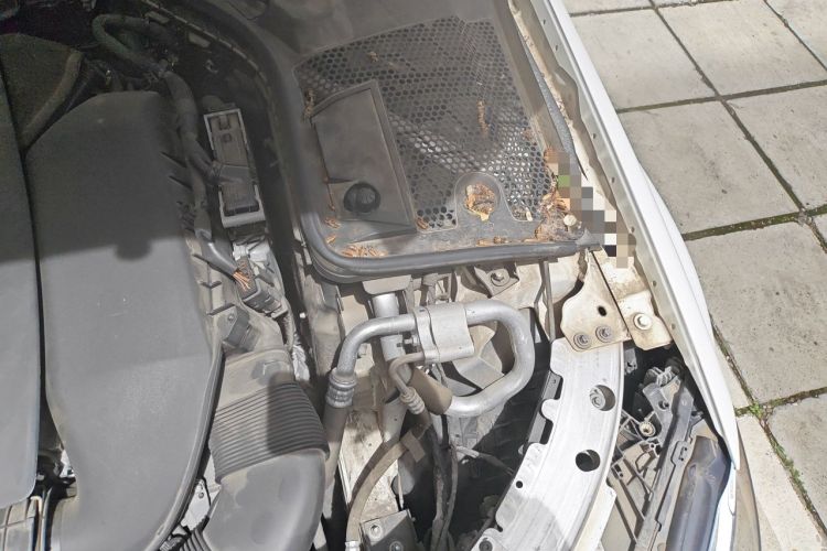 Used Mercedes-Benz C-Class 2021 C 200 L Fashion Edition Sport Version Engine Bay Left