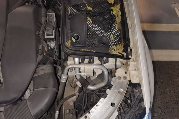 Used Mercedes-Benz C-Class 2021 C 200 L Fashion Edition Sport Version Engine Bay Left
