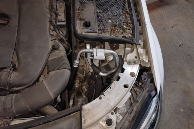 Used Mercedes-Benz C-Class 2021 C 200 L Fashion Edition Sport Version Engine Bay Left