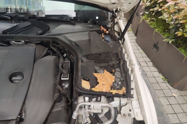 Used Mercedes-Benz C-Class 2021 C 200 L Fashion Edition Sport Version Engine Bay Left