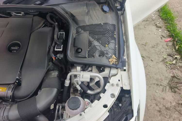 Used Mercedes-Benz C-Class 2021 C 260 L Sport Edition Engine Bay Left