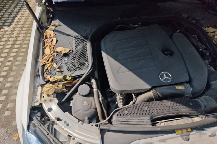 Used Mercedes-Benz C-Class 2021 C 260 L Sport Edition Engine Bay Right