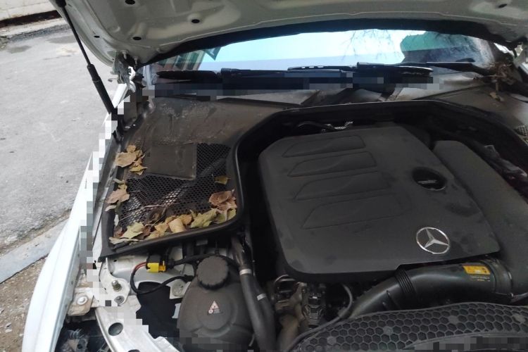 Used Mercedes-Benz C-Class 2021 C 260 Star Edition Engine Bay Right