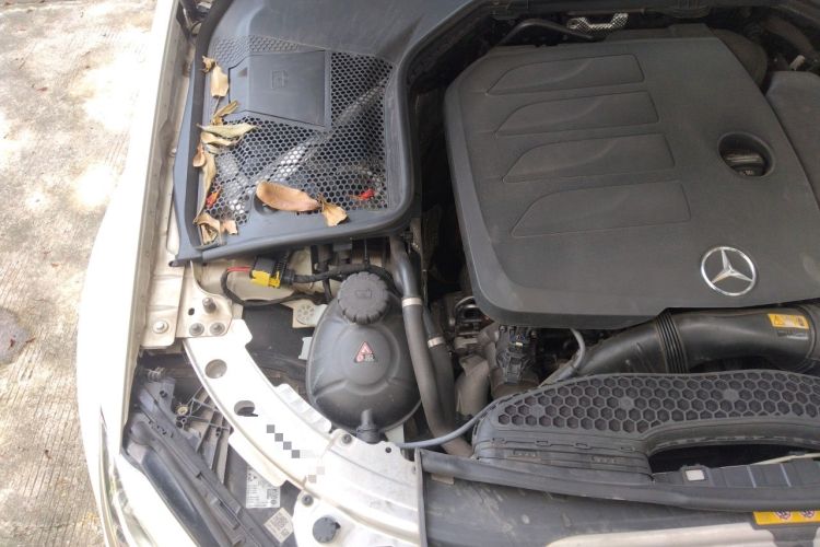 Used Mercedes-Benz C-Class 2021 C 260 L Sport Edition Star Collection Engine Bay Right