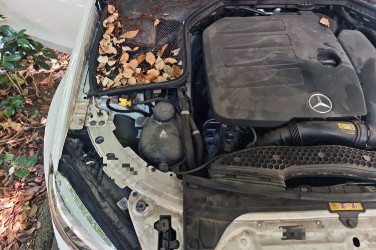 Used Mercedes-Benz C-Class 2021 C 260 Star Edition Engine Bay Right