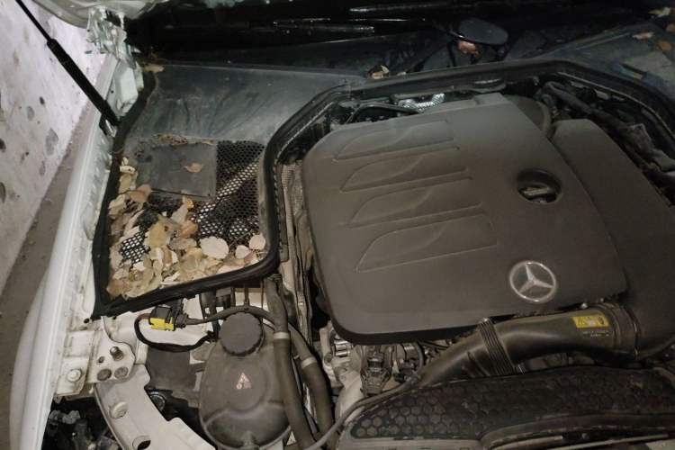 Used Mercedes-Benz C-Class 2021 C 260 L Sport Edition Engine Bay Right