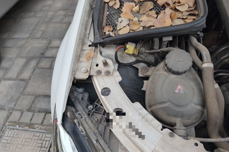 Used Mercedes-Benz C-Class 2021 C 260 L Sport Edition Engine Bay Right