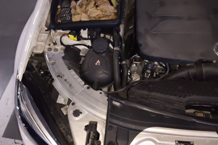 Used Mercedes-Benz C-Class 2021 C 260 L Sport Edition Star Collection Engine Bay Right