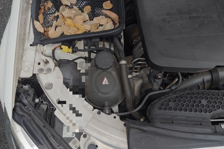 Used Mercedes-Benz C-Class 2021 C 260 L Sport Edition Engine Bay Right