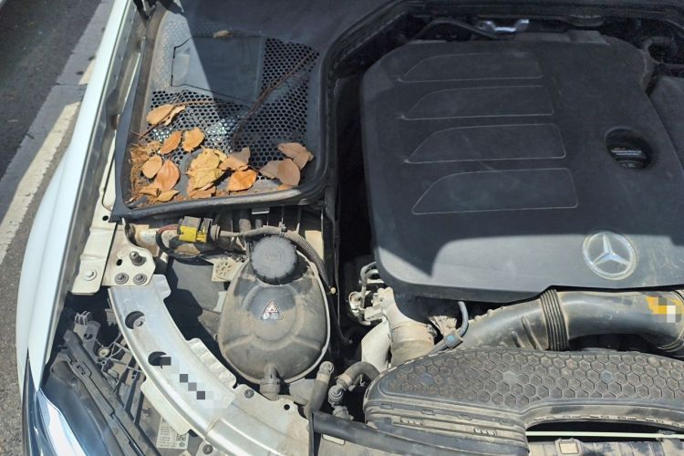 Used Mercedes-Benz C-Class 2021 C 200 L Fashion Edition Sport Version Engine Bay Right