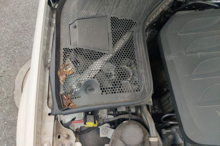 Used Mercedes-Benz C-Class 2021 C 260 Coupe Engine Bay Right