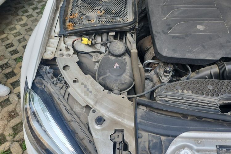 Used Mercedes-Benz C-Class 2021 C 260 L Sport Edition Star Collection Engine Bay Right
