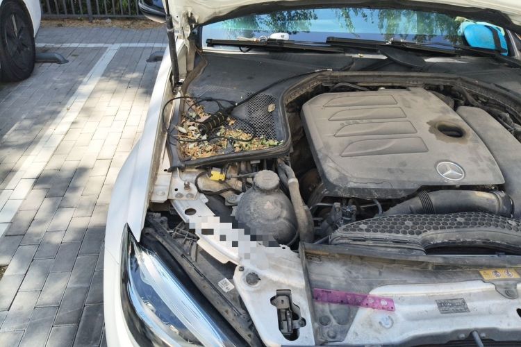 Used Mercedes-Benz C-Class 2021 C 260 L Sport Edition Star Collection Engine Bay Right