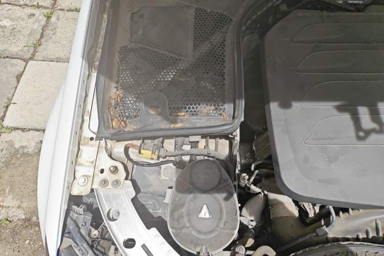Used Mercedes-Benz C-Class 2021 C 200 L Fashion Edition Sport Version Engine Bay Right