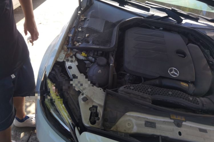 Used Mercedes-Benz C-Class 2021 C 260 L Sport Edition Engine Bay Right